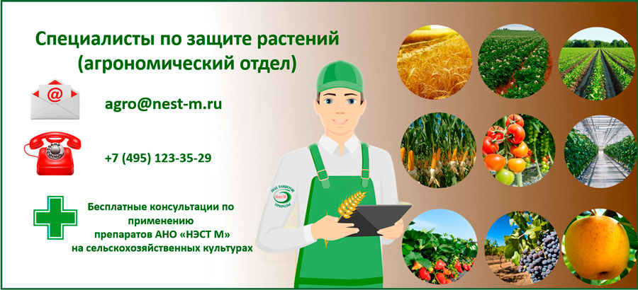 Специалисты по защите растений (агрономический отдел)