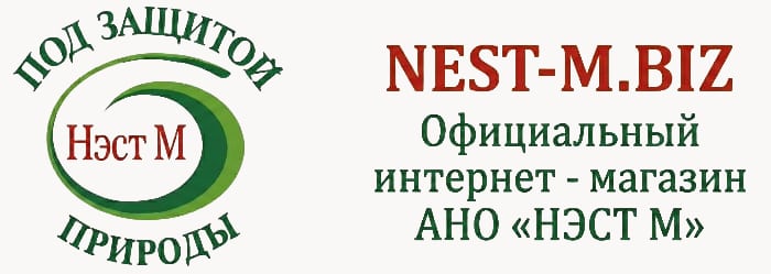 НЭСТ М